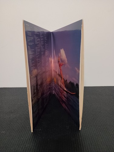 Helmet, Betty (Amphetamine Reptile Records AMREP 097) EX 2 10" - Rock Metal 1994 - Picture 23 of 24