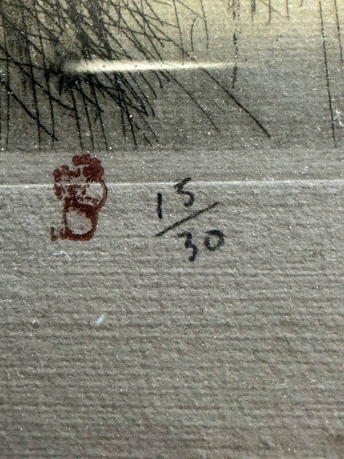 Picture 9 of 12