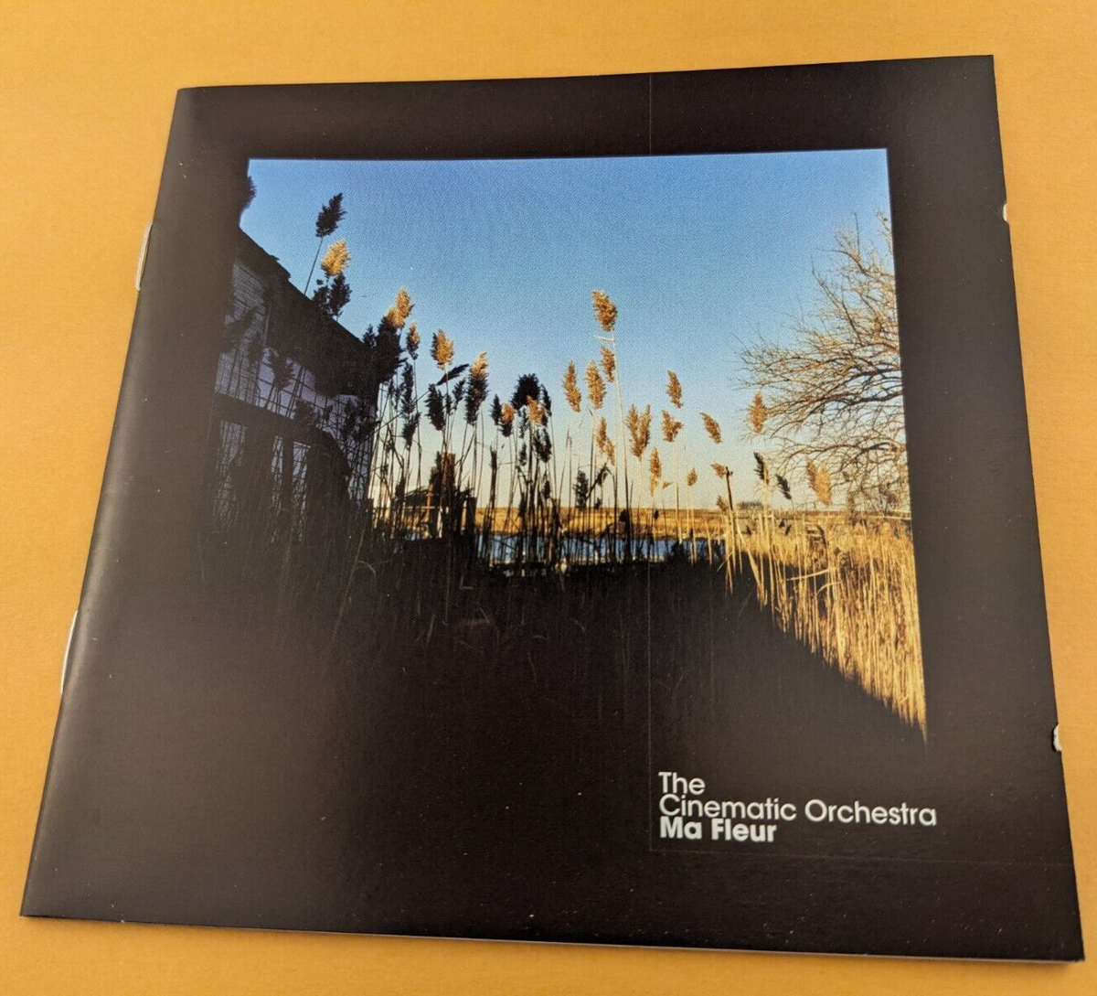 The Cinematic Orchestra CD Ma Fleur Ninja Tune 2007 future