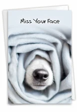 1 Funny Miss You Card with Envelope - Dog Gone Roll C9265AMYG