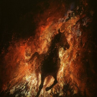 MISERERE LUMINIS - Ordalie, LP [oxblood] gris forteresse monarque sombres forets