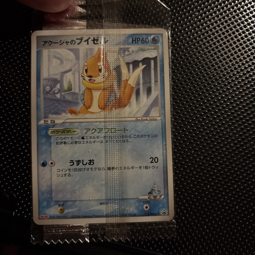 Pokemon TCG Samiya's Buizel 138/PCG-P Promo Meiji Japanese NM (Sealed)