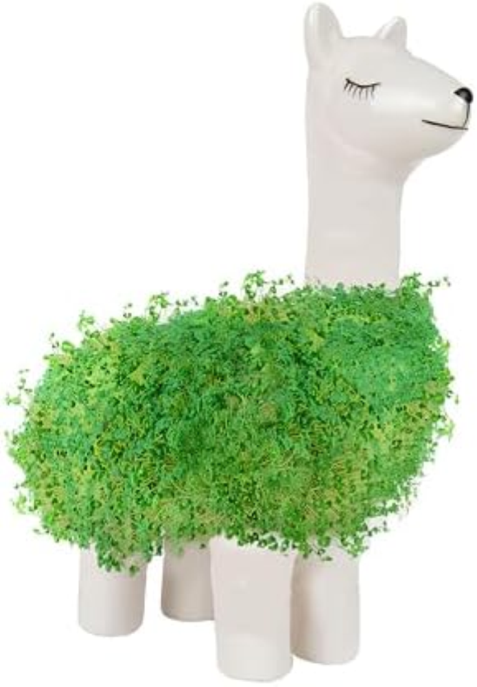Gift Republic- Llama Shaped Chia Planter-15829 Fioriera Forma di Lama, Tinta Uni