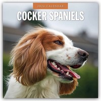 Cocker Spaniels - Cocker Spaniel 2026 - 16-Monatskalender | Ltd | Deutsch | 2026