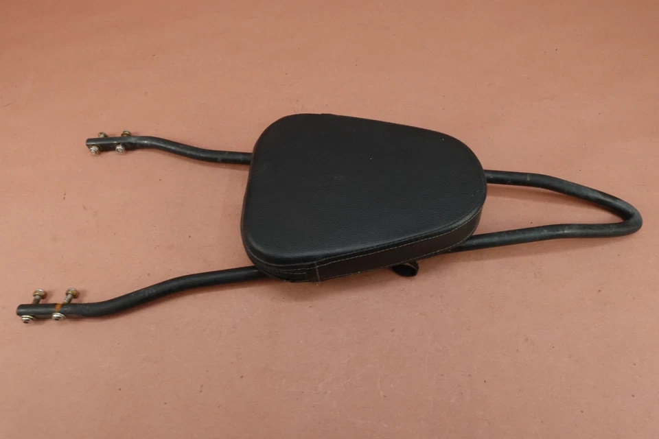 Harley-Davidson Forty Eight XL1200X XL1200 2011-2015 respaldo Sissy Bar almohadilla Foto 3 de 4