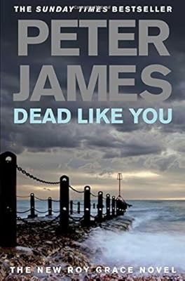 Dead Like You, James, Peter, Used; Good Book