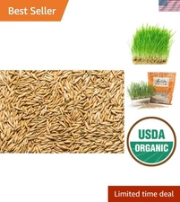 Certified Organic Non-GMO Oat Seeds for All Pets - 5 lb Bag (Plant-Based)