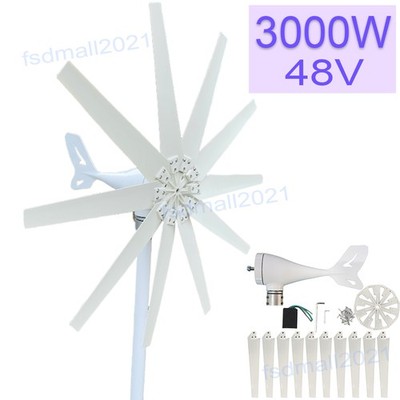 3KW 48V Windturbinen-Generator 10 Blades MPPT Charger Controller Windmill Power