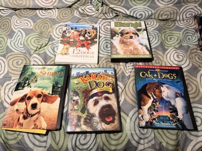 Dog Movie Family DVD Lot (5) - Benji 4-Movie Collection, Cats & Dogs, Shiloh, mo