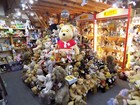 Bild 7 von 12