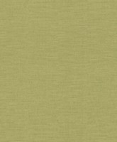 Vliestapete World Wide Walls Restored Meliert Design GrüN 227733 (6,56€/1Qm)
