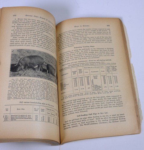 Antik September 1918 Schweine in KANSAS - State Board of Agriculture Bericht Buch - Bild 5 von 7