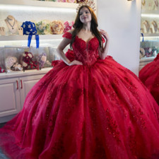 Sweet 15 Quinceanera Dresses with Bow Vestidos De XV A os Red Party Ball Gowns