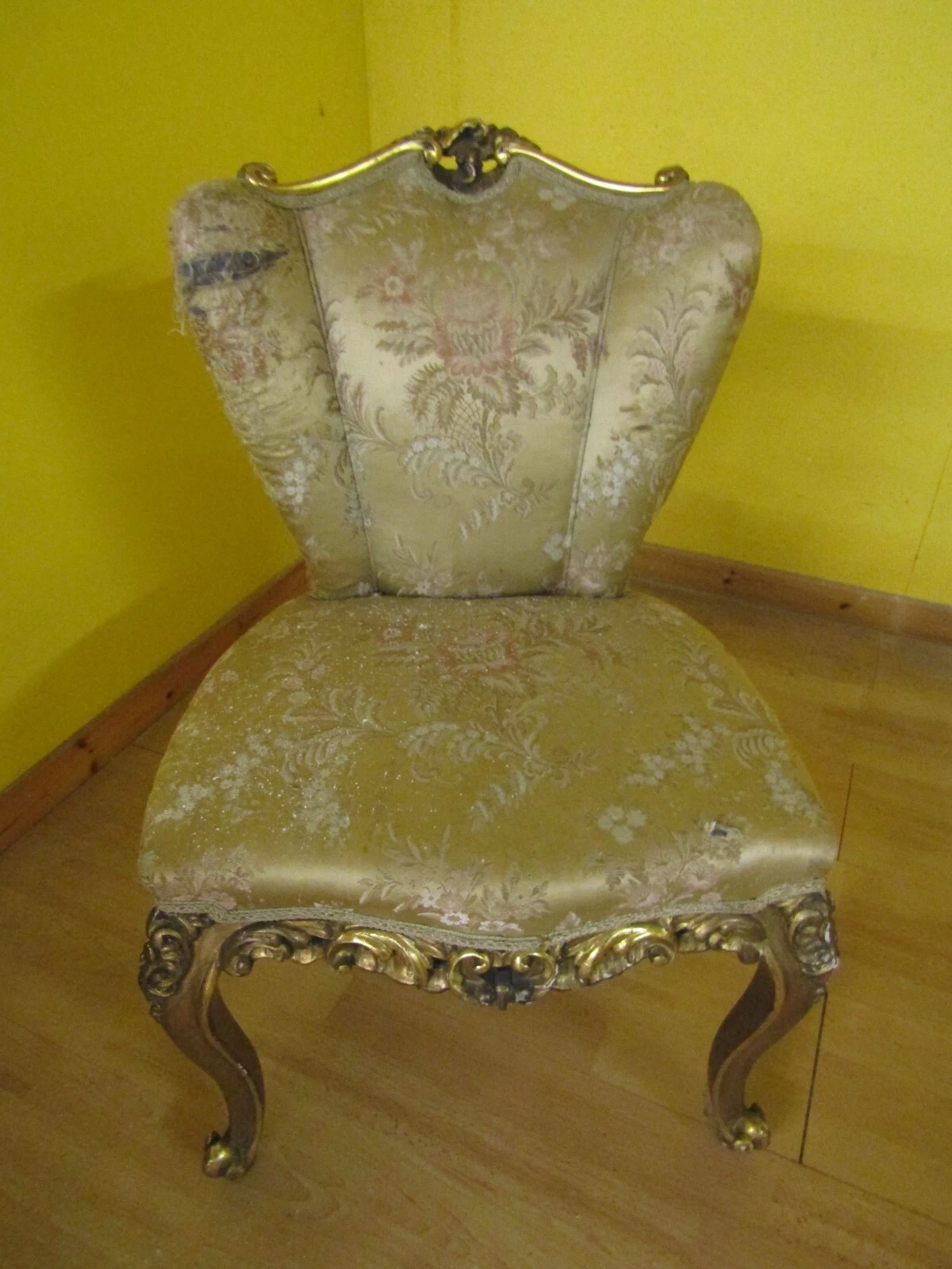 Foto 12 di 14