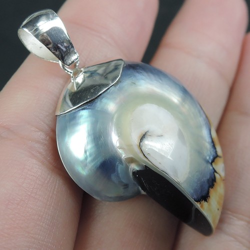 925 Sterling Silver Small Natural Nautilus Shell Pendant Jewelry, NSP-615 - Picture 4 of 6