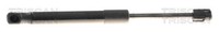Gasfeder Motorhaube Triscan 8710 81208 FüR Tesla Model Allrad Heckantrieb Long
