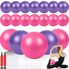 20 PCS 9 Inch Mini Pilates Yoga Exercise Balls Pump Inflation Tubes Bulk Barre