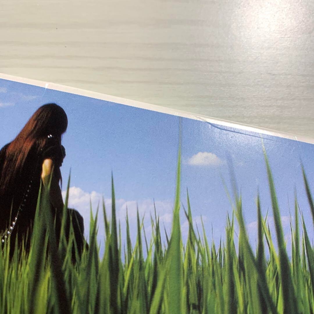 ■[未開封/廃盤] Lily Chou-Chou CD「共鳴(空虚な石)」■ Amazon.co.jp: 共鳴(空虚な石): ミュージック