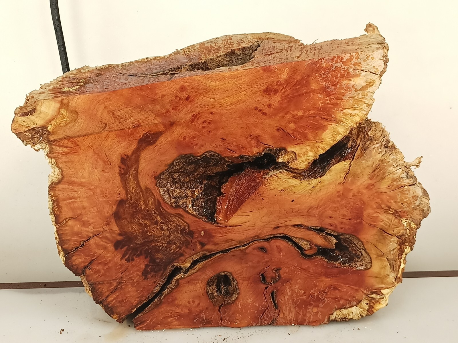 Manzanita Burl 10.5x9x4" Craft Wood Turning Lathe Blank Gun Grip Knife Scales eBay