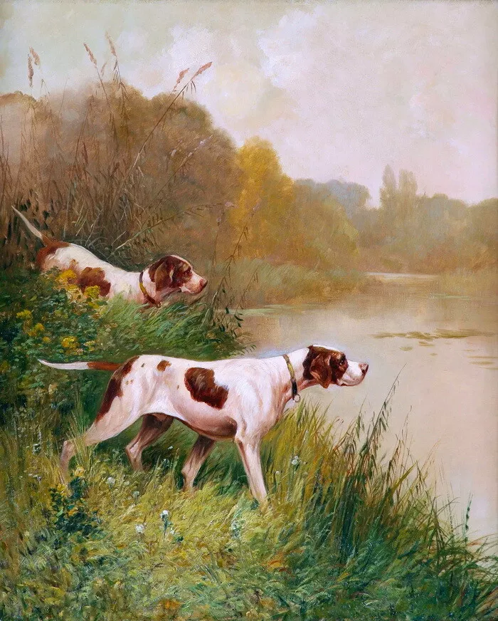 Hunting hotsell dog price