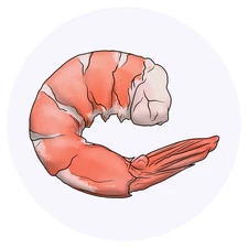 24 x 'Cooked Prawn' Stickers (SK00048629)