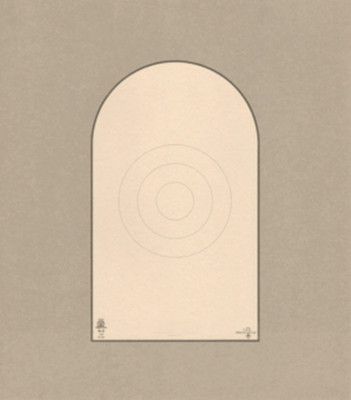 D-2 Official 50 Foot Action Pistol Bianch Cup Target, 10.5'' x 12'', on Tagboard
