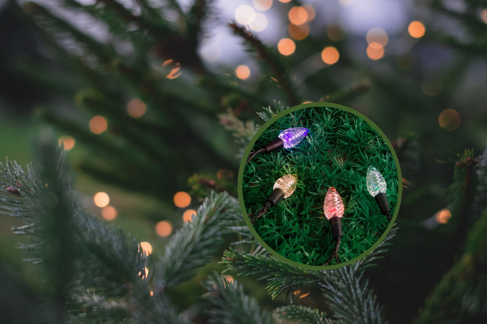 100 LED 10M PINE CONES MULTI COLOUR SOLAR CHRISTMAS LIGHTS eBay