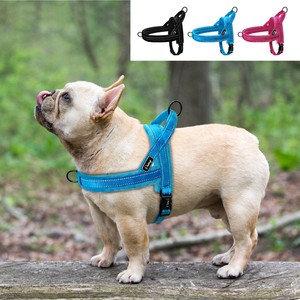 pull strap dog