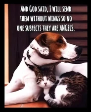 And God Said Will Send Them Down Without Wings Angel Dog Cat Refrigerator MAGNET