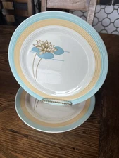 American Limoges Triumph Pond Lilly Marine Blend Vintage 1940s