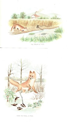 Antique Two RARE 1897 Chromolithograph Prints How to Fool and Trap a Fox