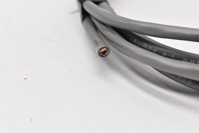 Saxton AWM 2464 Cable PVC 80C 300V Length 10'