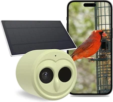 5G Bird Watching Camera, Hibird Smart AI Identify and Auto Capture 10000+ Bird S