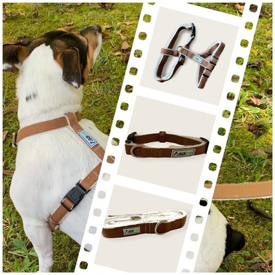 hemp dog harness