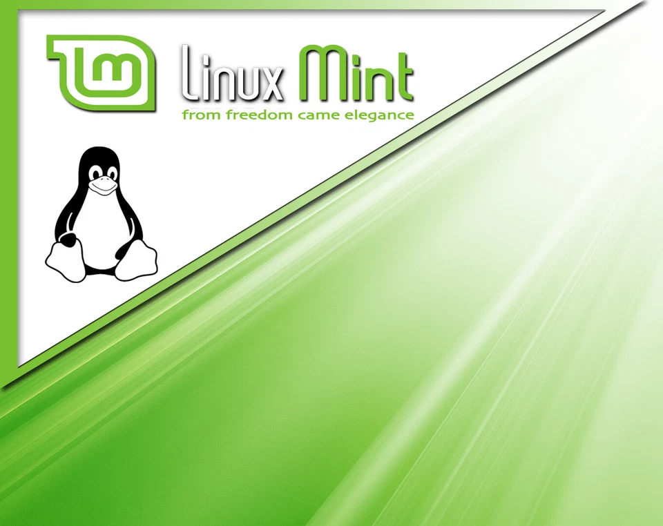 Sistema operativo Linux Mint su chiavetta USB 3.0 da 32 GB