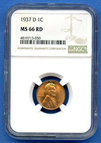 1937 D NGC MS66RD Lincoln Wheat Cent 1c Penny US Mint Coin 1937-D MS-66 RD