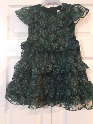 NWT Rachel Parcell Green Park Metallic Embroidered Holiday Dress Size 4! |  eBay