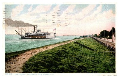 1911 Steamboat at the Levee at Chalmette New Orleans Louisiana Vintage Postcard