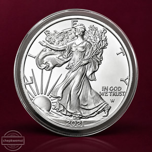 25+ 2021 Silver Eagle for sale | Updated Oct 2026