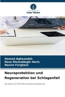 Neuroprotektion Und Regeneration Bei Schlaganfall Hamed Aghazadeh
