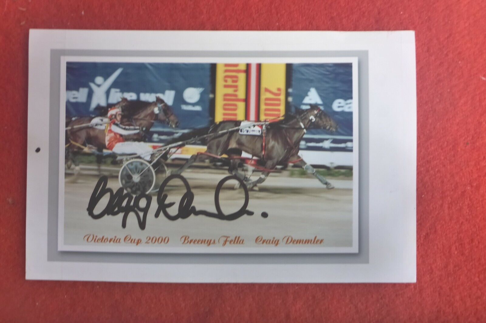 CRAIG DEMLER HAND SIGNED  2000 VICTORIA CUP HARNESS RACING PHOTO 6X4