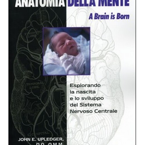 LIBRO ANATOMIA DELLA MENTE. A BRAIN IS BORN - JOHN E. UPLEDGER