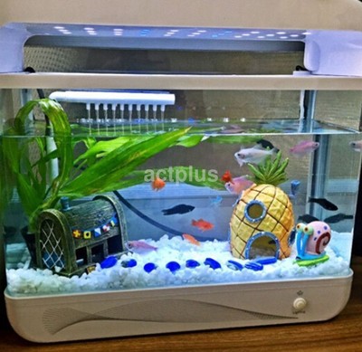 aquarium for fish at home