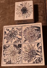 Magenta Four Floral Frames Rubber Stamp Daisy Garden Flowers Wood Mount-2 Stamps