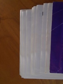 Legendary Wings Nintendo NES Manual Only ~ Instruction Booklet