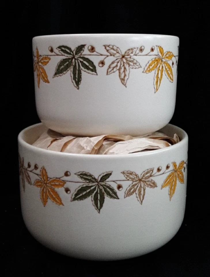 2 cuencos para servir Waechtersbach diseño hoja anidación lados rectos 5 tazas y 8 tazas Foto 4 de 4