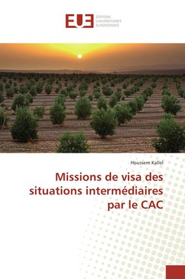 Houssem Kallel | Missions de visa des situations intermédiaires par le CAC
