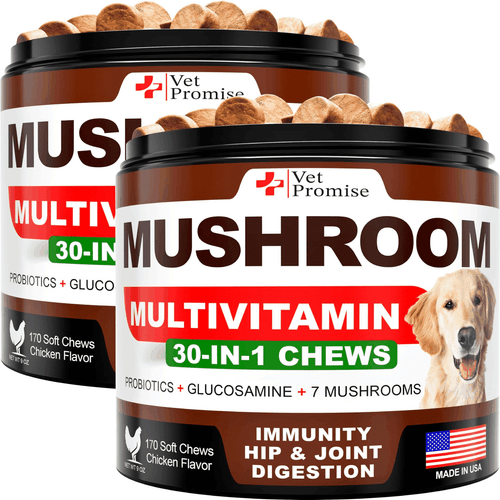 (2 Pack) Mushroom for Dogs 340 Chews Turkey Tail Mushroom Supplement for - Bild 1 von 6