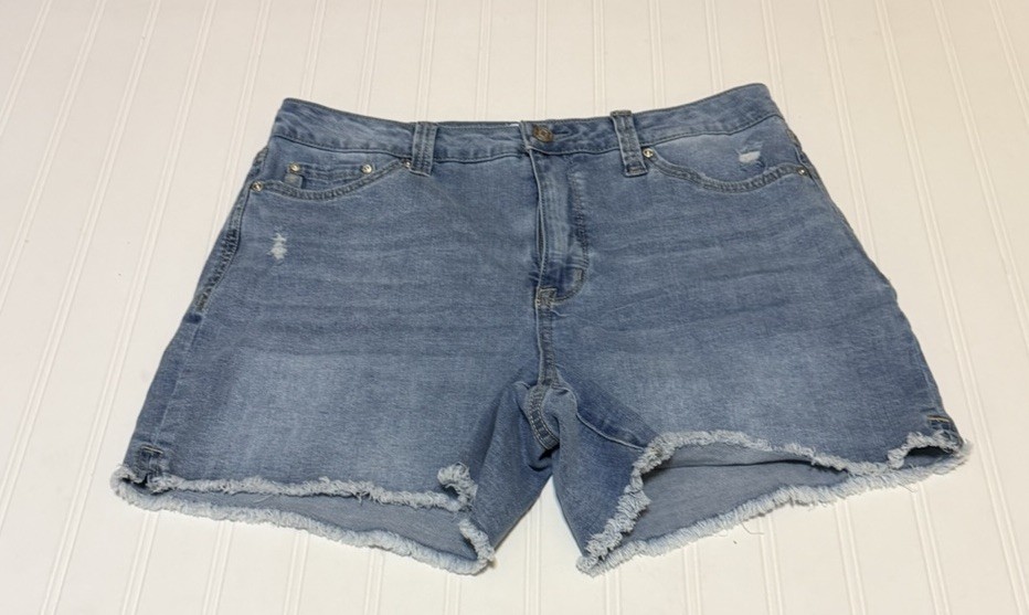 Womens  Weekend Short Fray Hem Denim Shorts 4”Inseam Size 10 High Rise Summer
