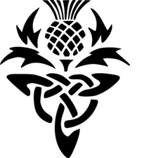 CELTIC THISTLE STENCIL   - RE-USABLE 3 X 4 INCH